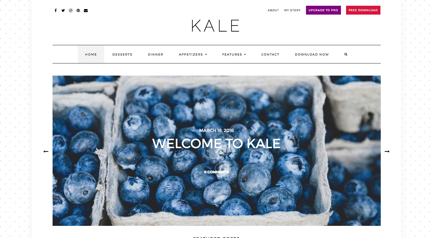 Kale WordPress Theme