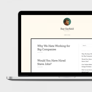 ray free wordpress theme