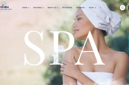 spa wordpress themes