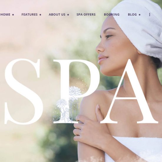 spa wordpress themes